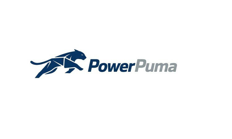 Available Business Name For Sale - PowerPuma